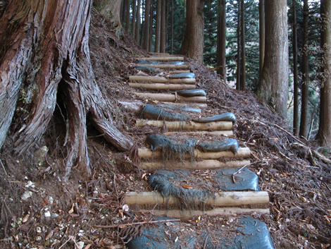 20171207hike (35)